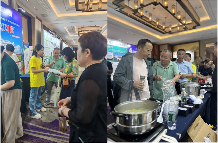 耀世娱乐(中国)官方网站